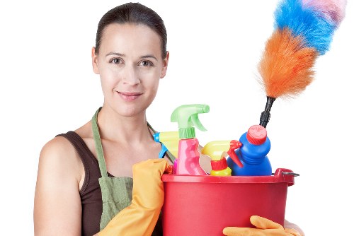 Professional oven cleaning with a spotless interior