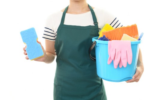 Professional carpet cleaning in a bright living room