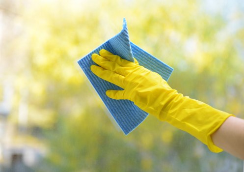 Domestic cleaning tools arranged for a tidy home cleaning routine