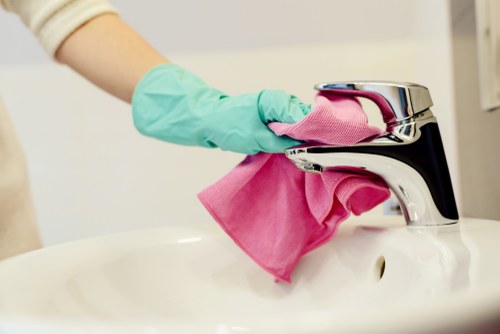 Bathroom cleaning supplies ready for regular domestic cleaning
