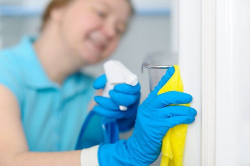 Professional move in cleaning in Brent for a fresh new home