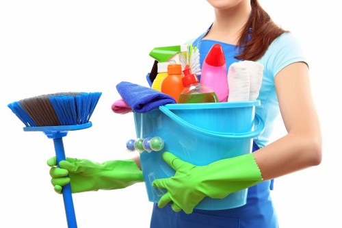 House cleaning supplies arranged for a tidy home
