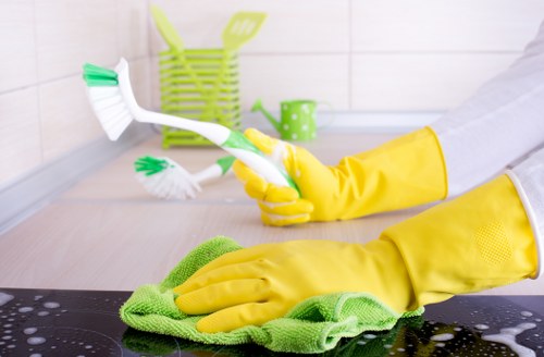 Living room sofa cleaning with vacuum and upholstery care