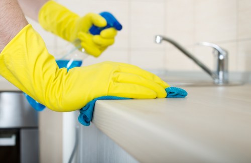 Bathroom surfaces cleaned during a deep cleaning routine