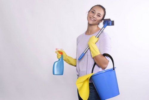 Vacuuming and dusting in a tidy living room during deep cleaning