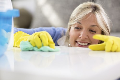 Cleaning supplies and checklist for a regular cleaning routine