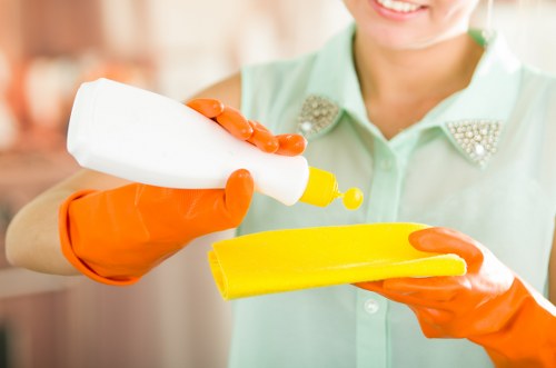 Cleaner using squeegee and tools for streak-free glass
