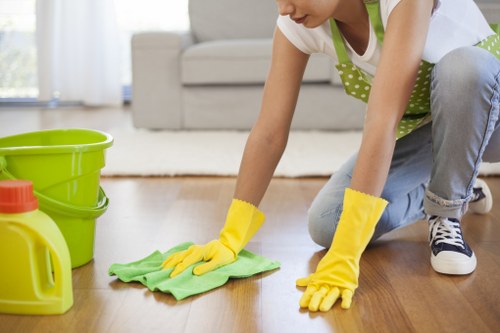 Different oven cleaning methods and supplies